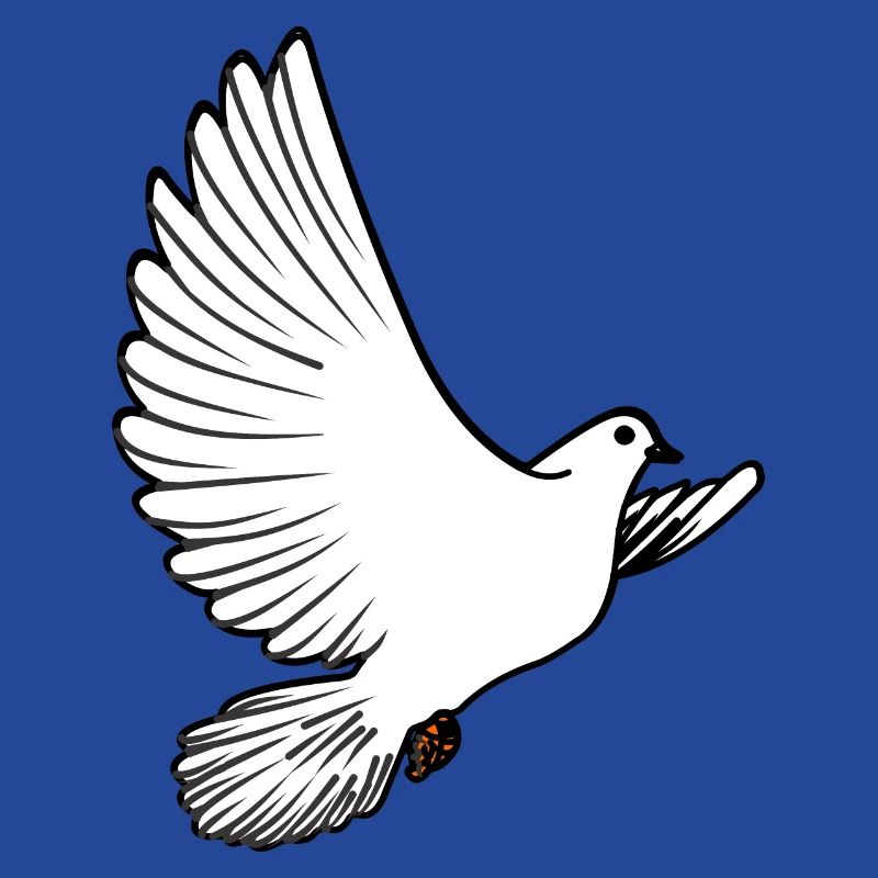 Weiße Taubenbrieftaube Ziertaube oder Friedenstaube