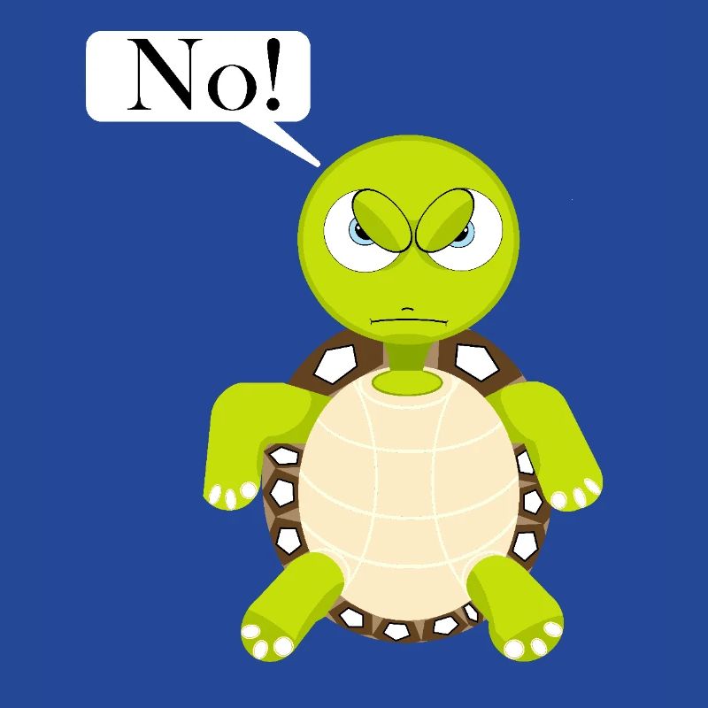 Statement No Turtle, No Fun Comic, No
