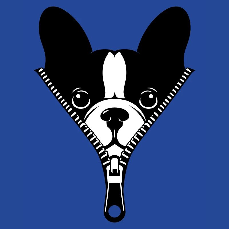 Bouledogue Français dans une fermeture éclair