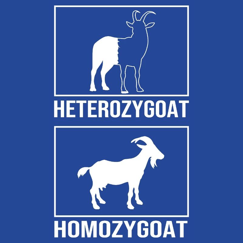 Molecule Structural Formula