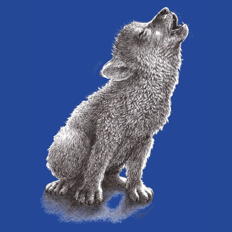 Young howling wolf