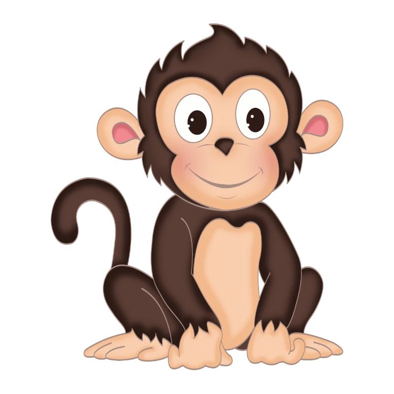 Monkey - cute monkey - design