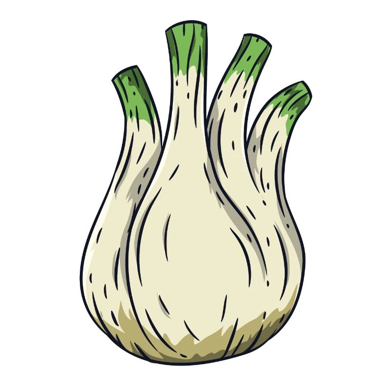 fennel