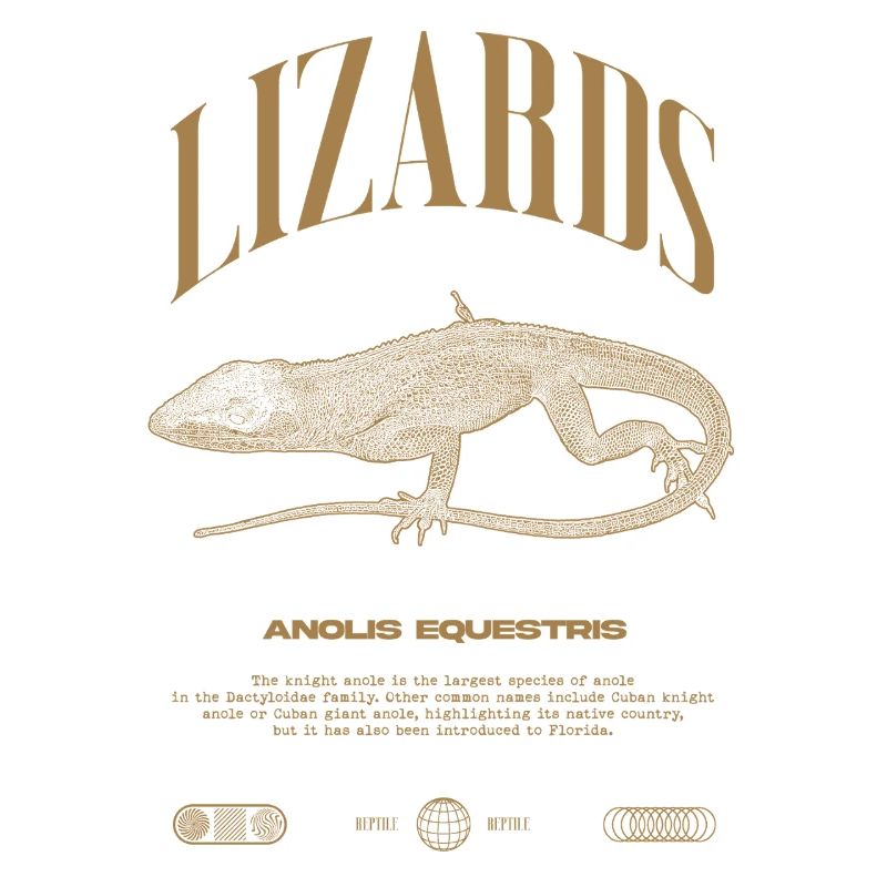 Kubanischer Ritter Anole Reptilienhalter Eidechse