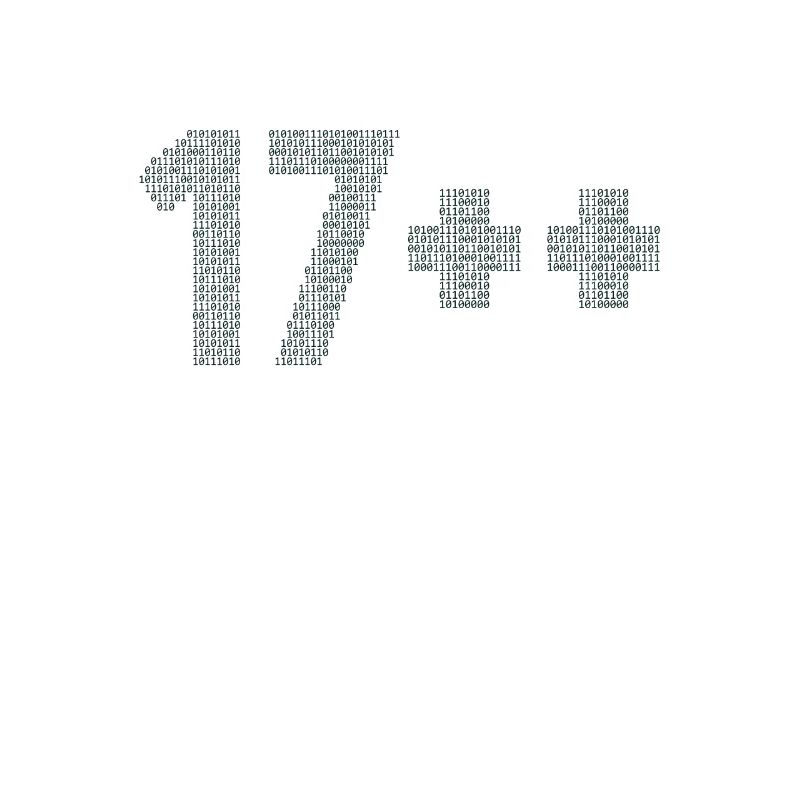 17++ Software Developer Coder Engineer 18th