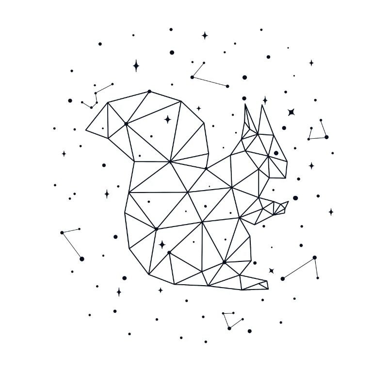 Constellation Squirrel Constellation Squirrel