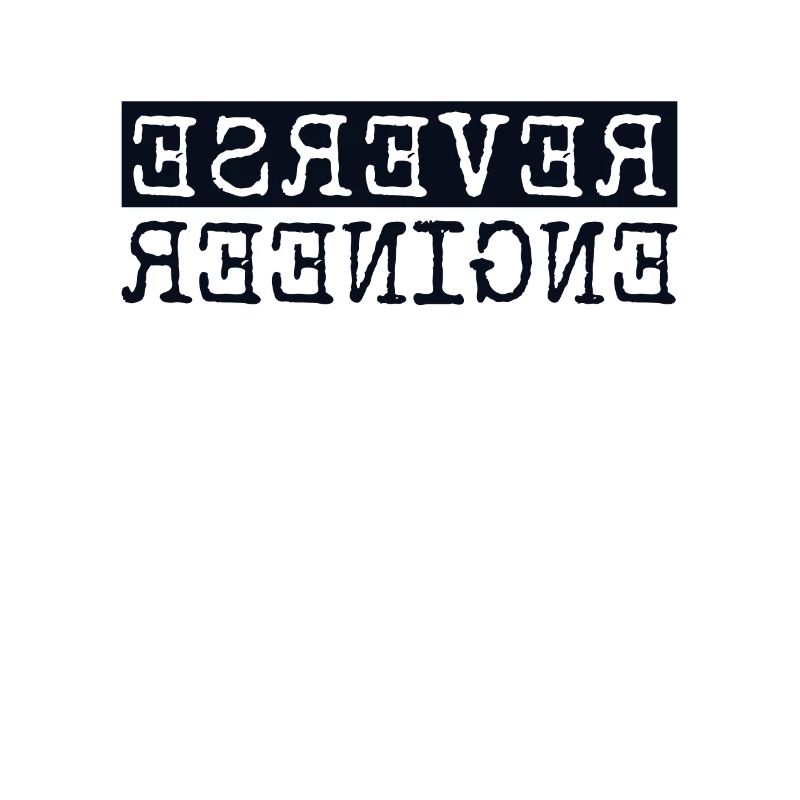 Reverse Engineer Software Engineer Developer