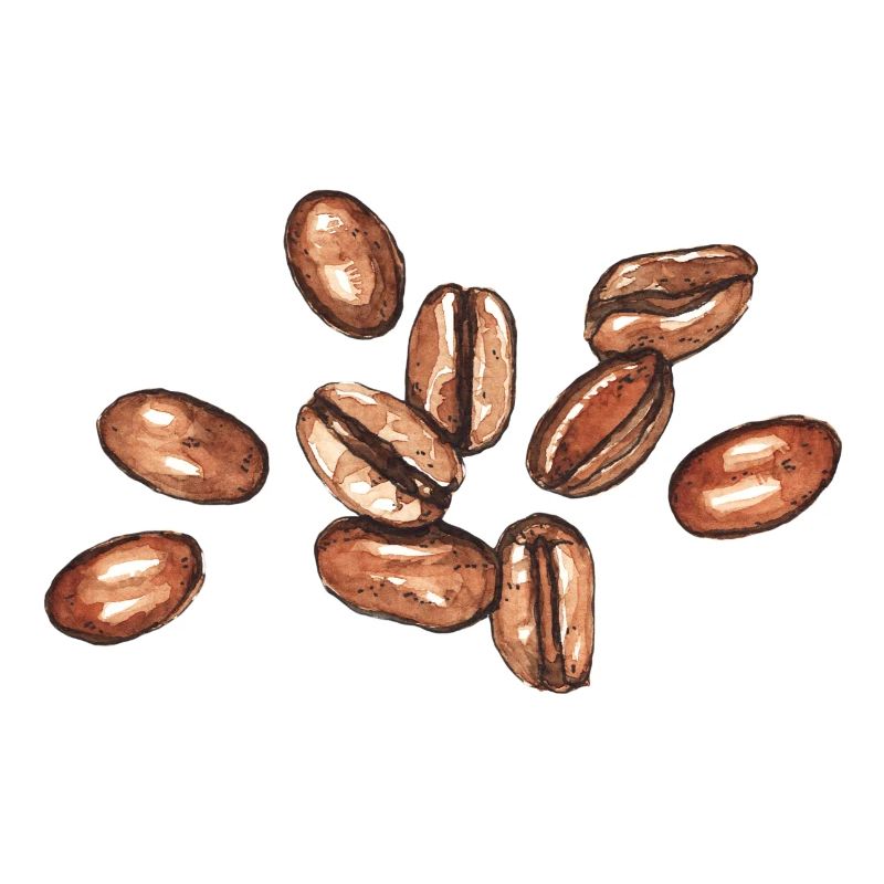 Kaffeebohnen