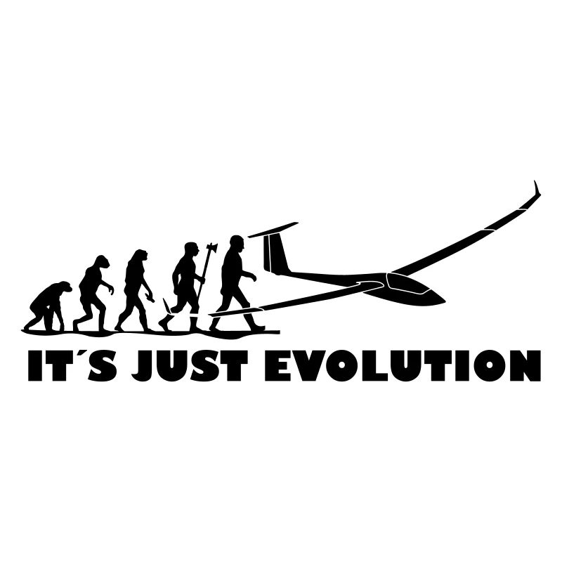 evolution gliding glider pilot