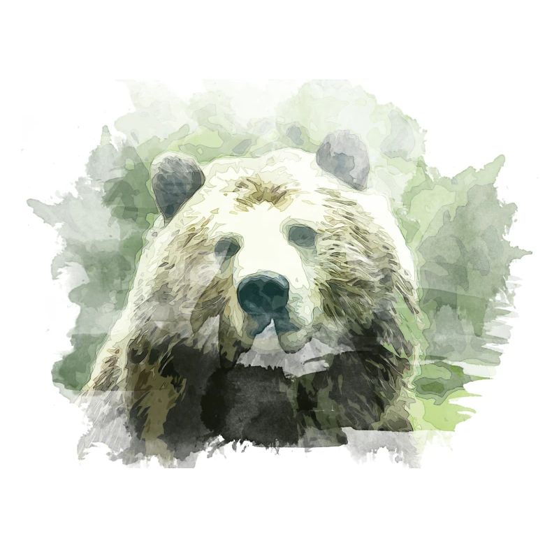 bear