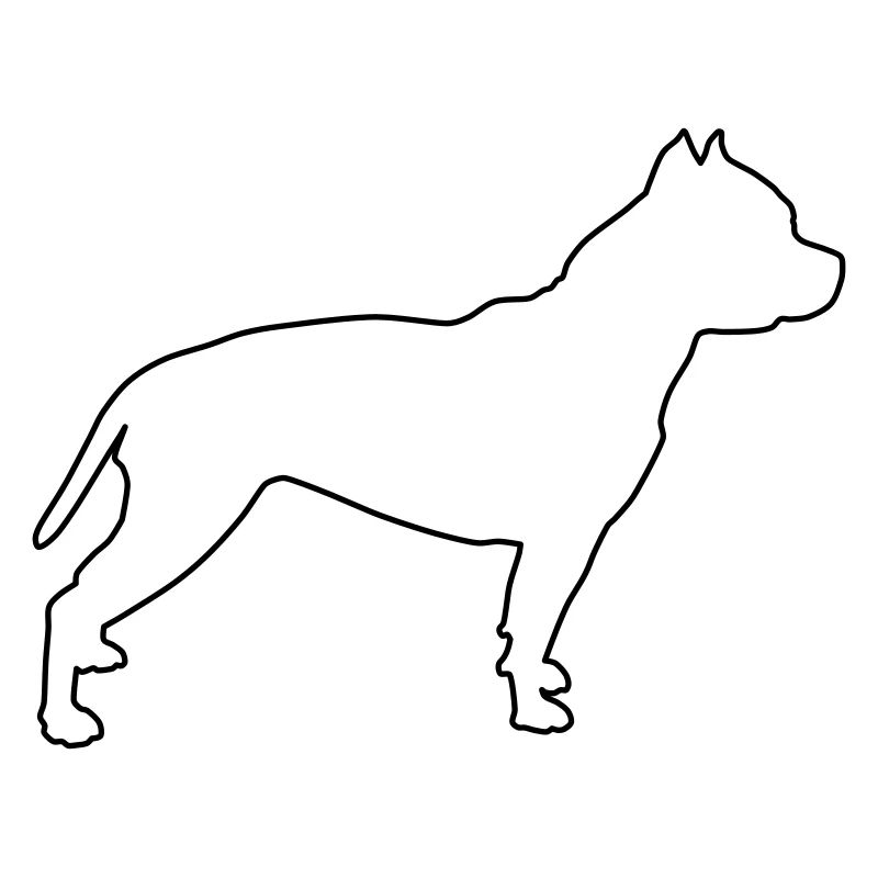 Contours de Pitbull 1