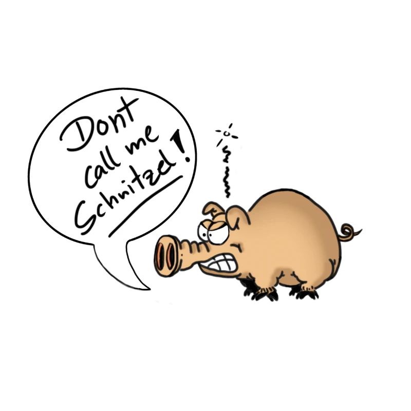 DontCallMeSchnitzel