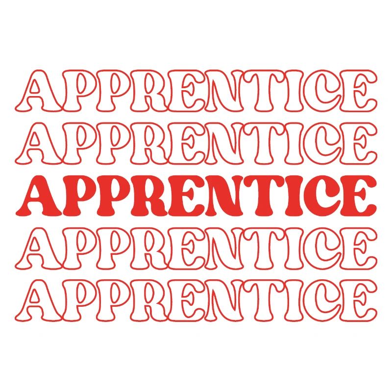 Apprentice Trainee Apprentice Novice Learner