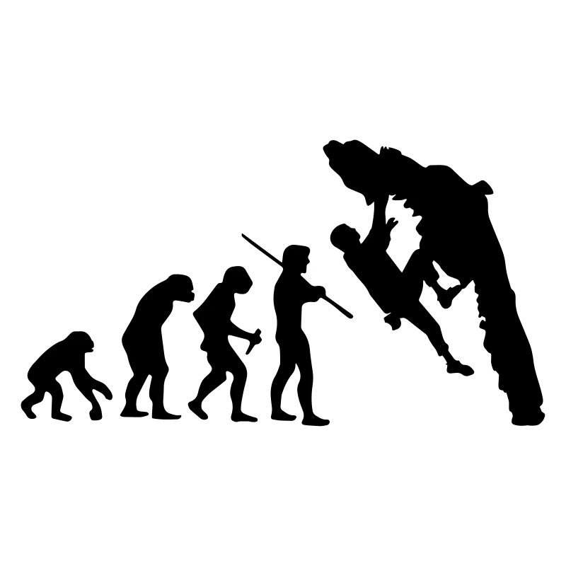 Boulder Evolution