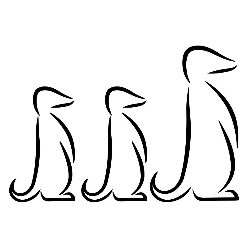 Erdmännchen