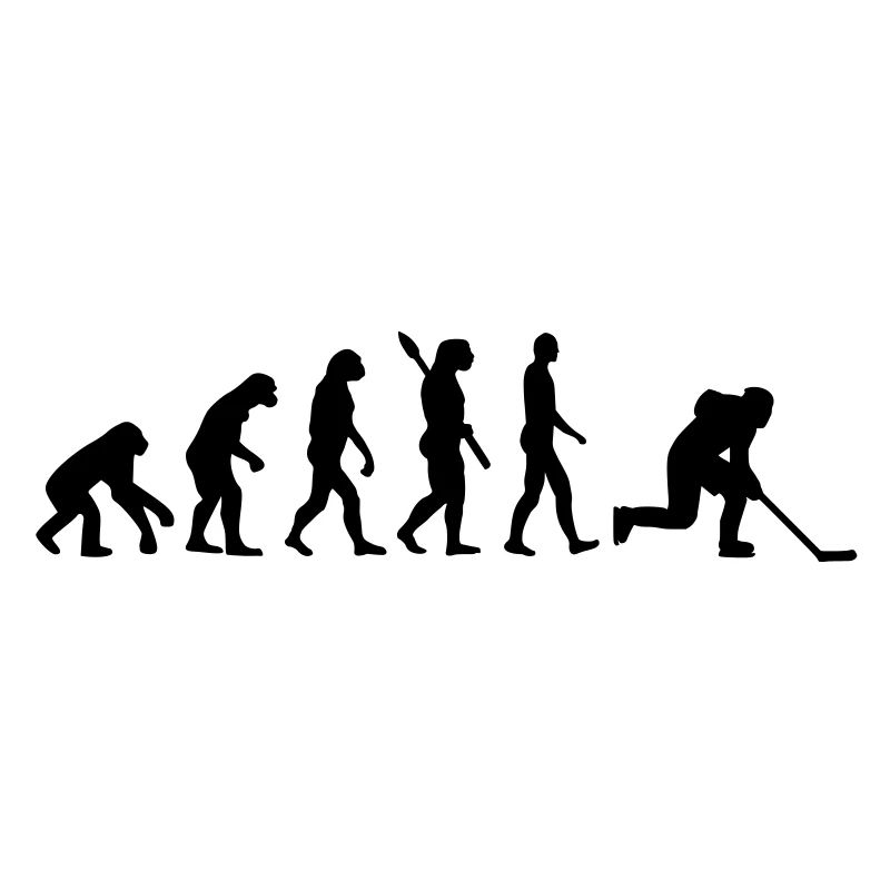 Evolution hockey