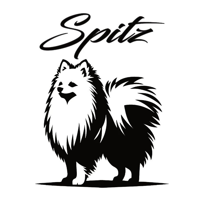 Spitz Design – Der charmante Wirbelwind