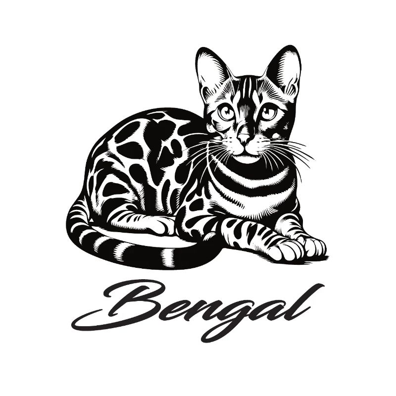 Conception de chat Bengal - sauvage, belle et unique