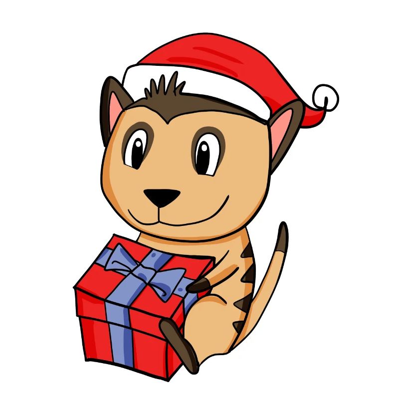 Suricate de Noël Bébé avec cadeau
