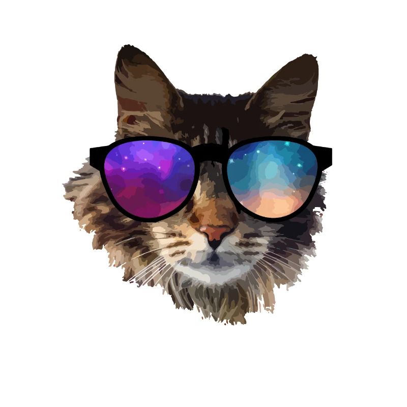 chat