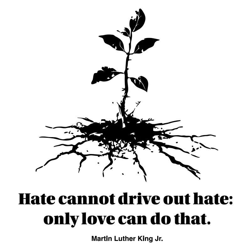 Hate cannot drive out hate: only love can do that