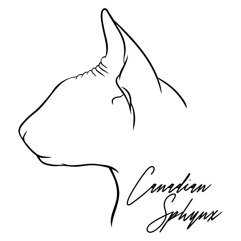 Profil Sphynx Canadien Chats Chat Wilsigns