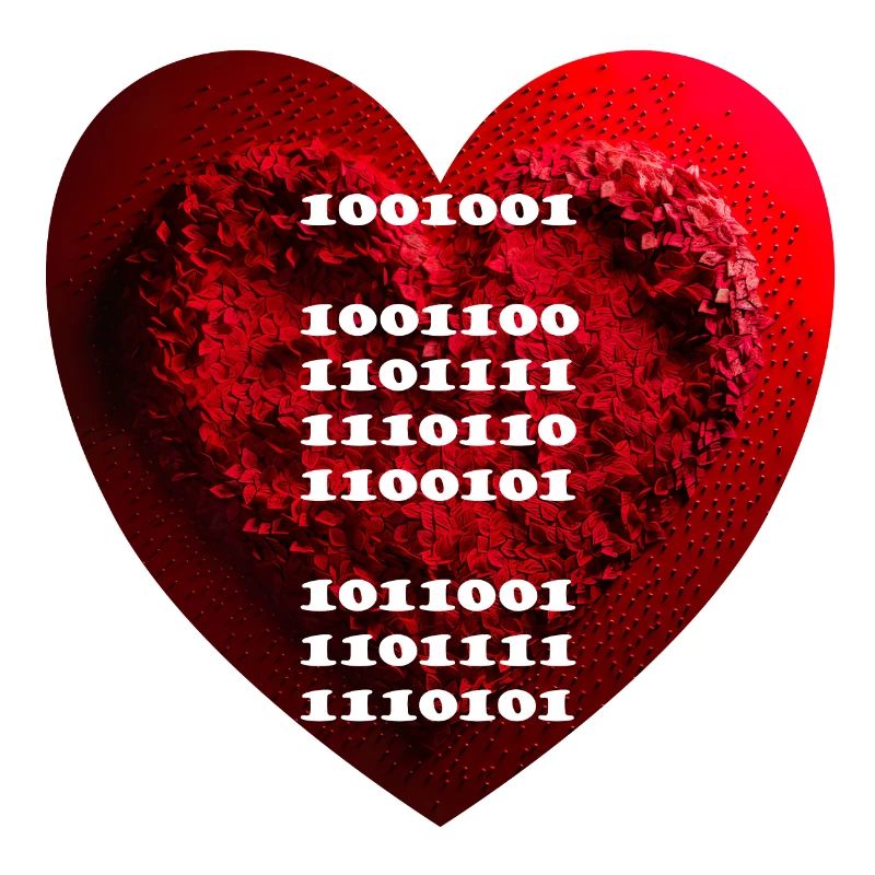 Encrypted declaration of love in binary code