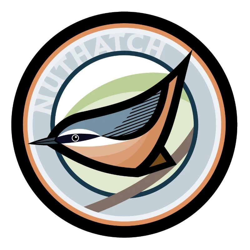 Nuthatch