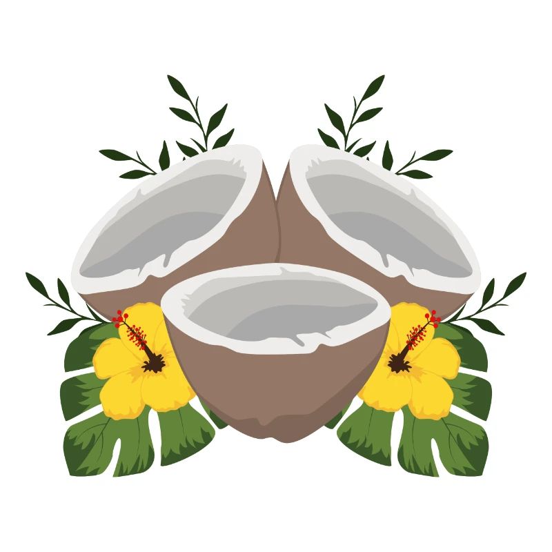 Noix de coco d'été