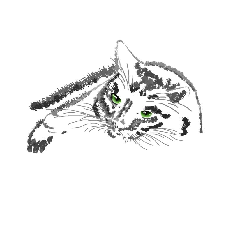 Schwarze Katze