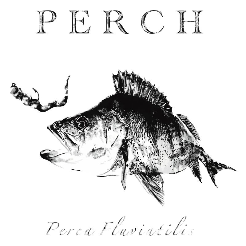 Perch Angler - Artificial lures for predatory fish