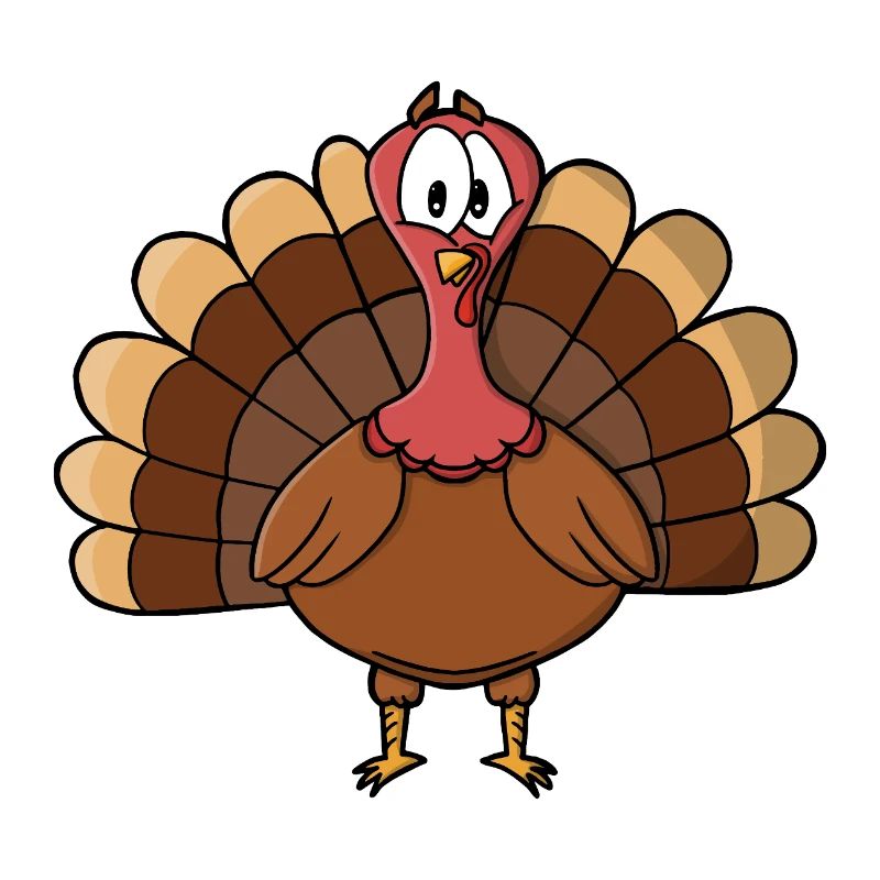 Dinde à queue large