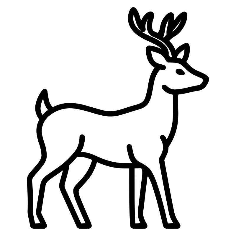 cerf