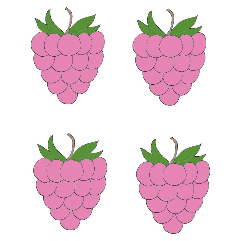 Raspberry Double Cluster Pattern