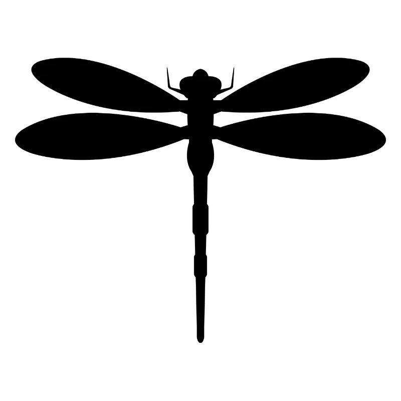 Libellule