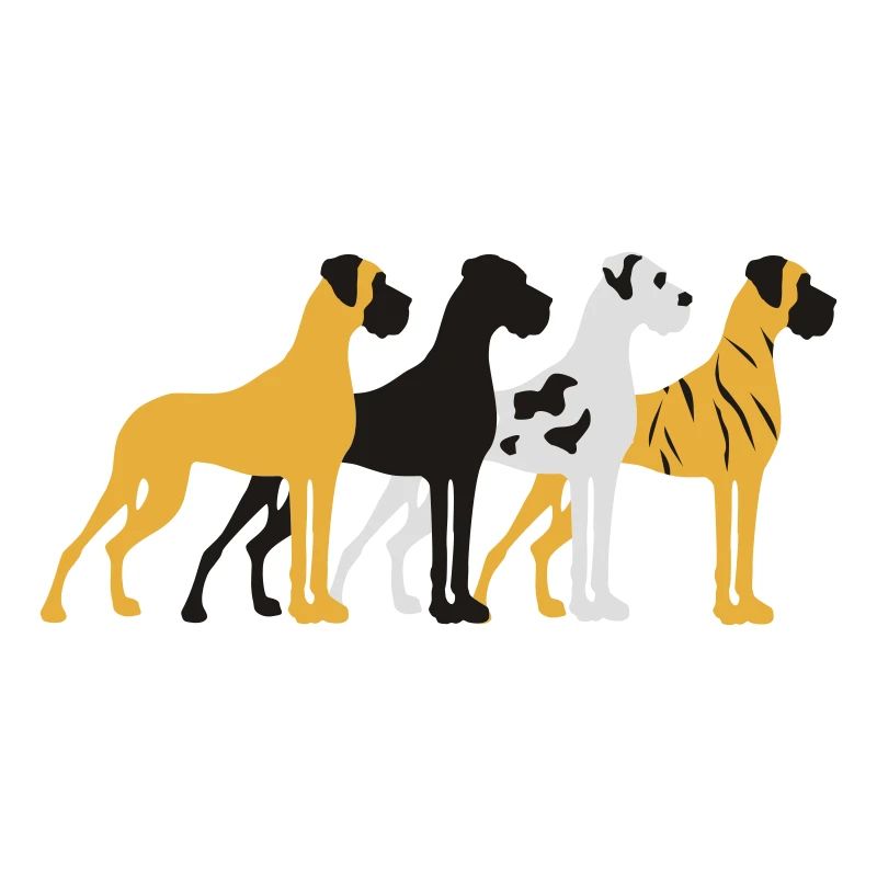 Quatre couleurs de base Great Dane