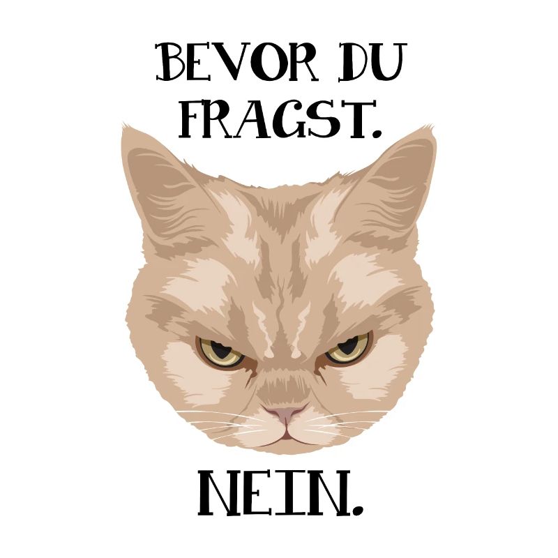 Grumpy Cat - Avant de demander_Non - P.