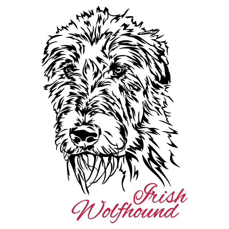 IRISH WOLFHOUND Irish Wolfhound Wilsigns chiens