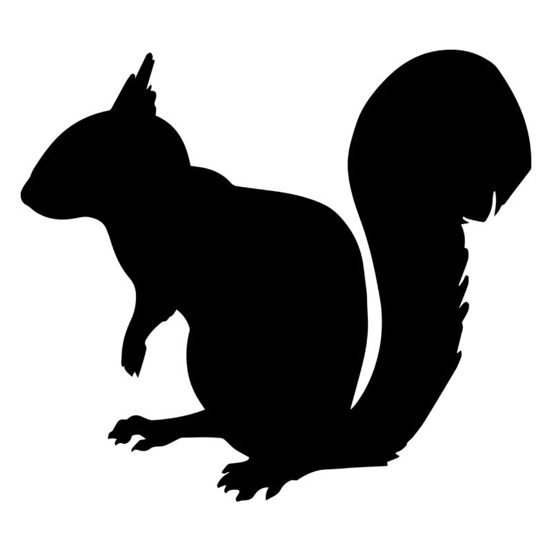 Eichhörnchen