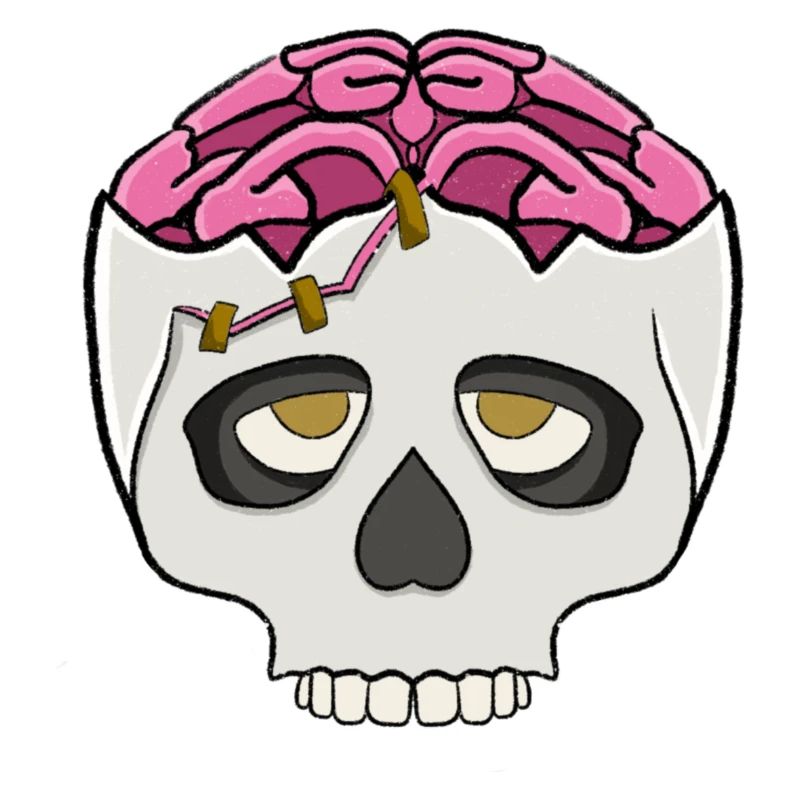 Skull with brain