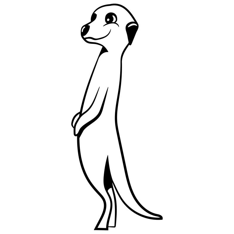 Suricates doux drôle