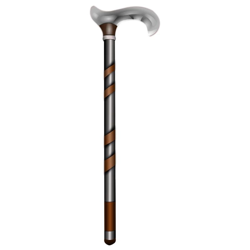walking stick