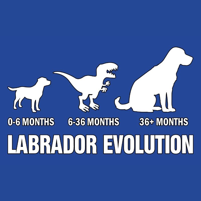 Labrador Evolution