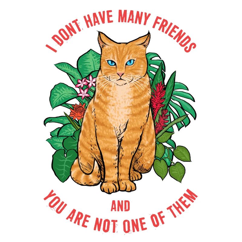 Cat Not Friendly