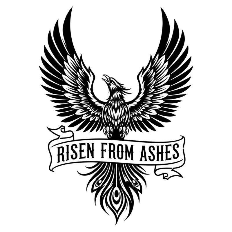 Phoenix Risen From Ashes