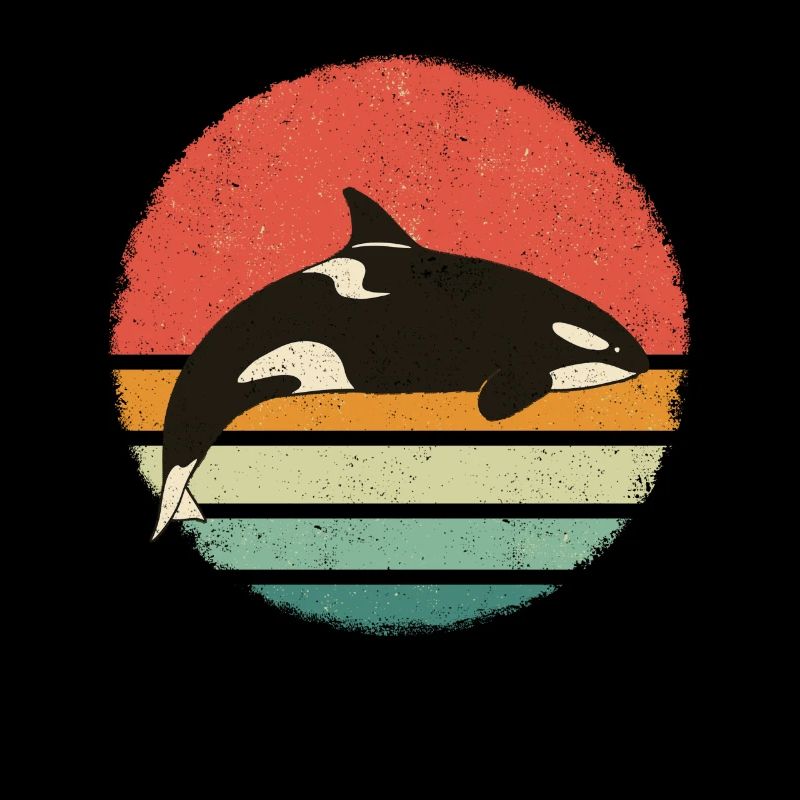 Orca Killerwal Ozean Tier Wale