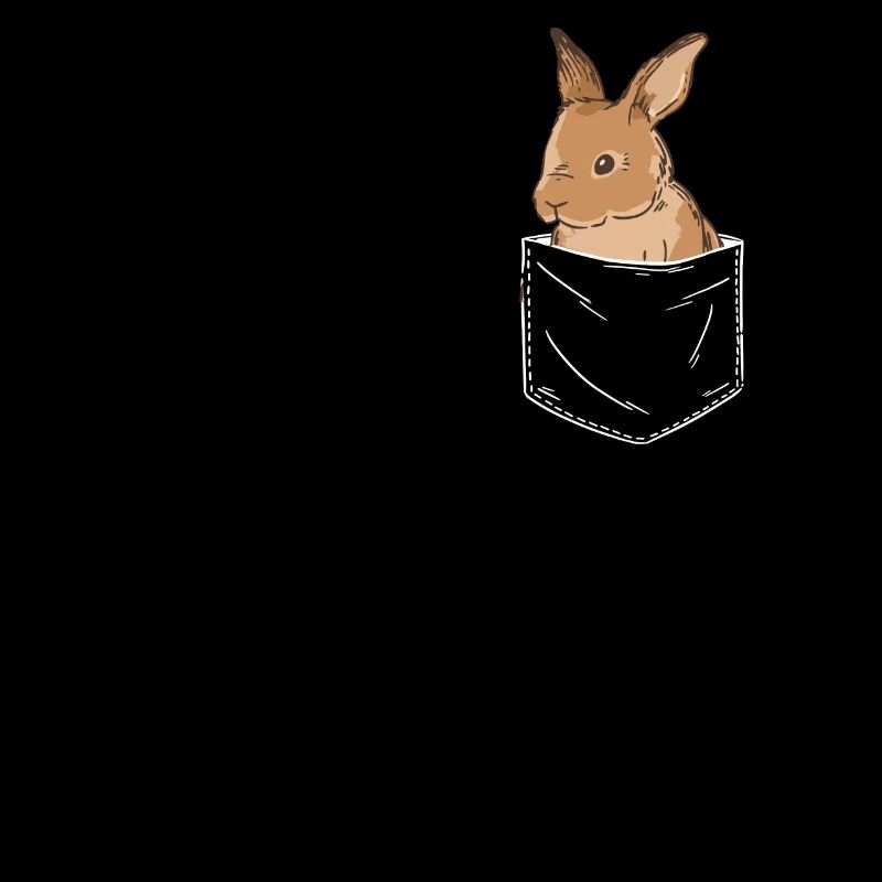 Rabbit Animal Pet Rabbit