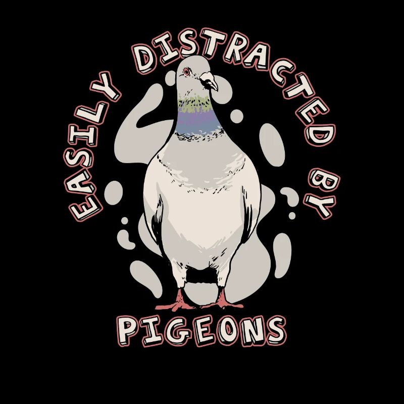 Taube Tauben Tier Vogel