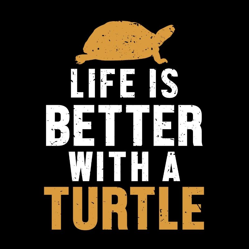 Life is Better with a Turtle Tortoise
