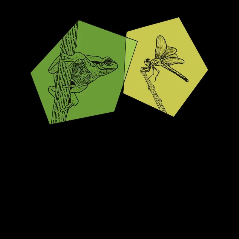 Toad, tadpole, tree frog, frog breeder, frog